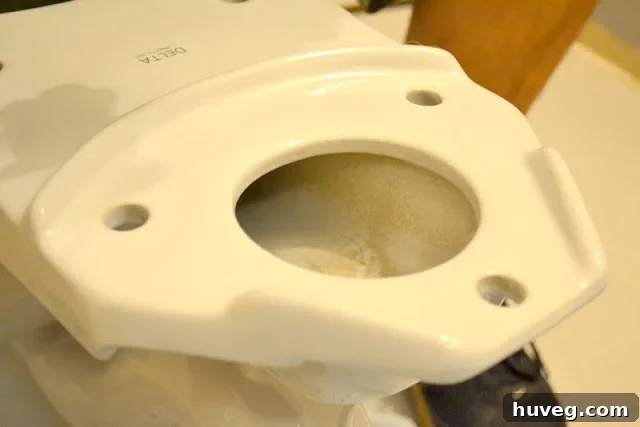 toilet install