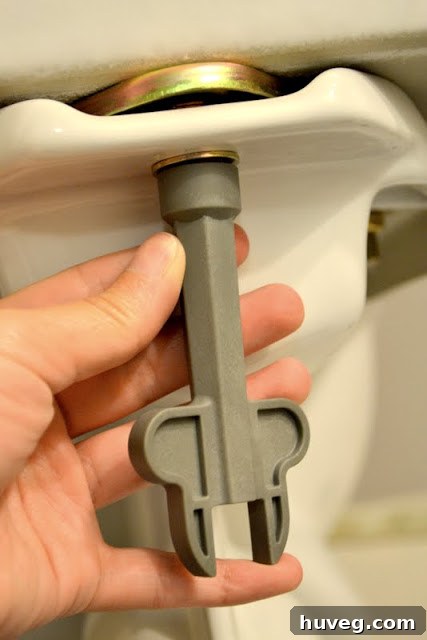 toilet install