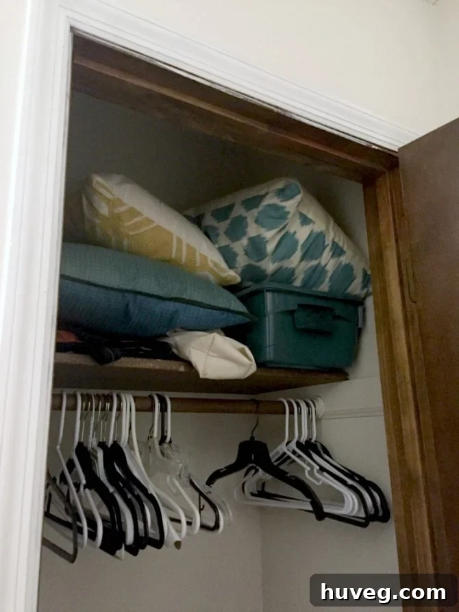Top Shelf of Entryway Closet Before Renovation