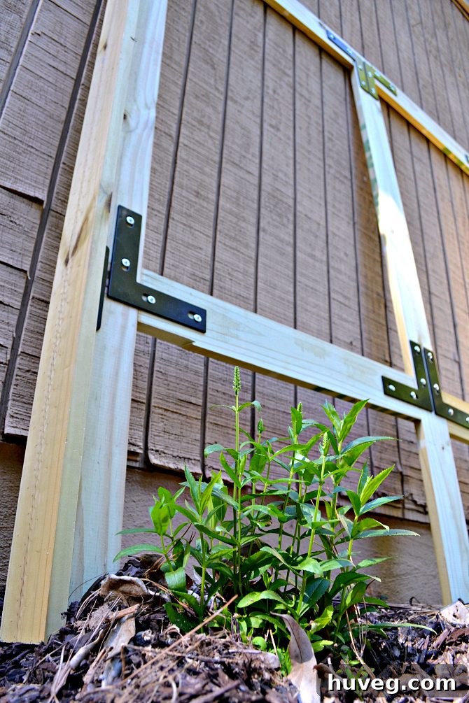 Sturdy Wooden Frame for DIY Garden Screen and Outdoor Trash Bin Enclosure