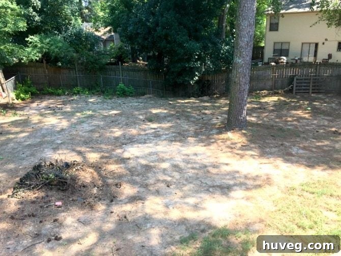 backyard-overhaul-level-yard