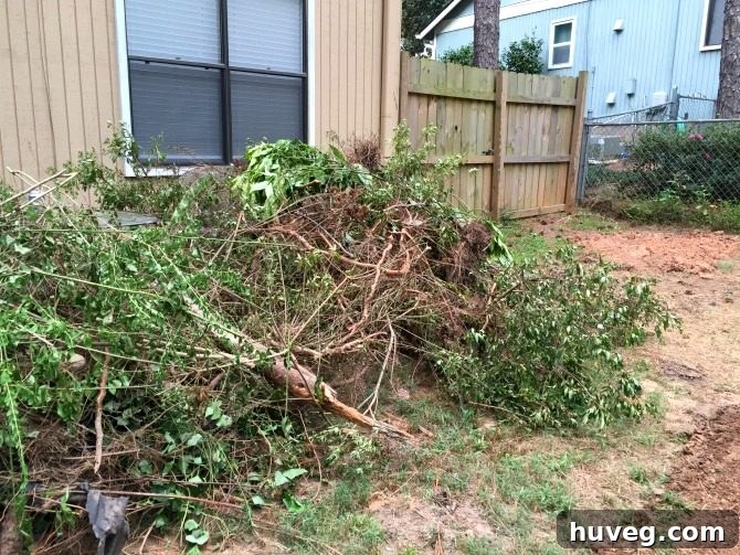 backyard-overhaul-huge-pile-of-plants-roots-and-stump-chunks