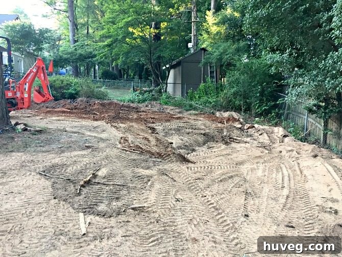 filling-in-the-back-yard-sinkhole