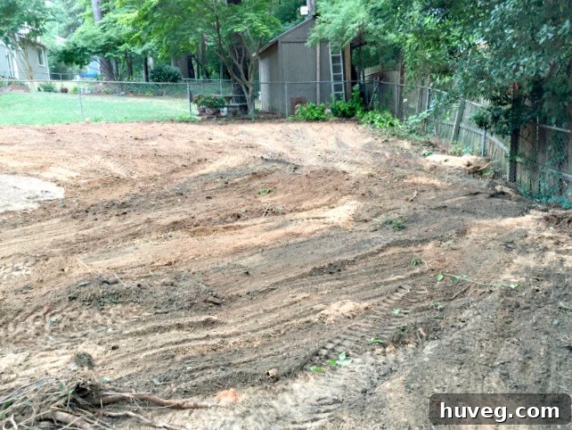 bringing-in-topsoil