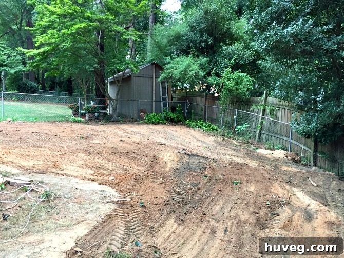 backyard-overhaul-right-side