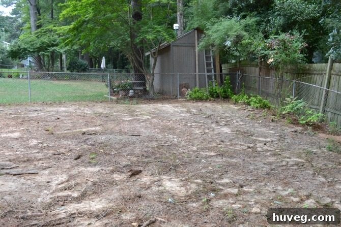 back-corner-for-shed