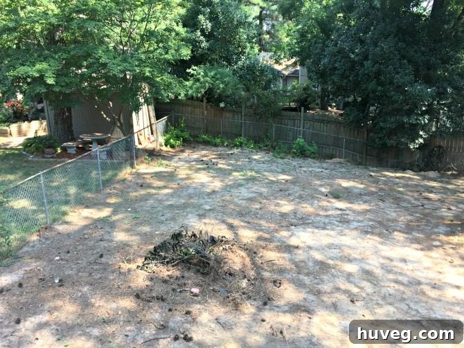 backyard-aerial-left