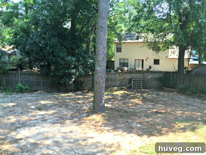 backyard-after-with-no-sinkhole