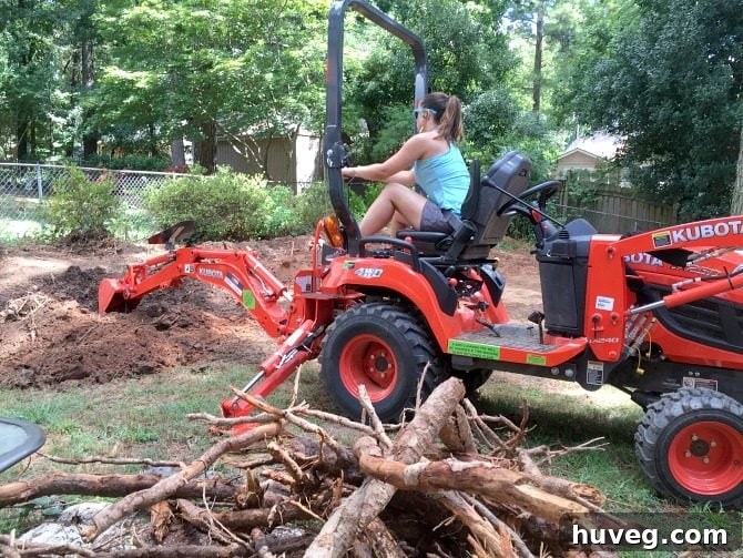 digging-up-tree-roots-with-backhoe