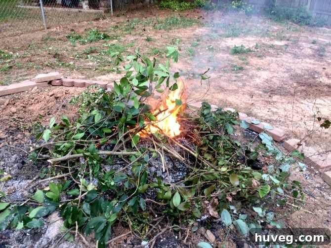 bonfires-at-the-udh