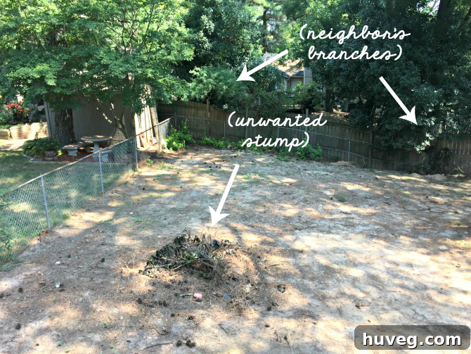backyard-aerial-left