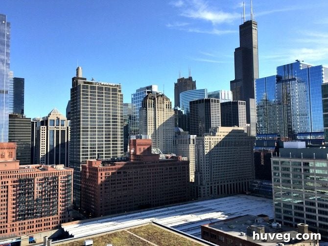 Panoramic rooftop view of the Chicago skyline