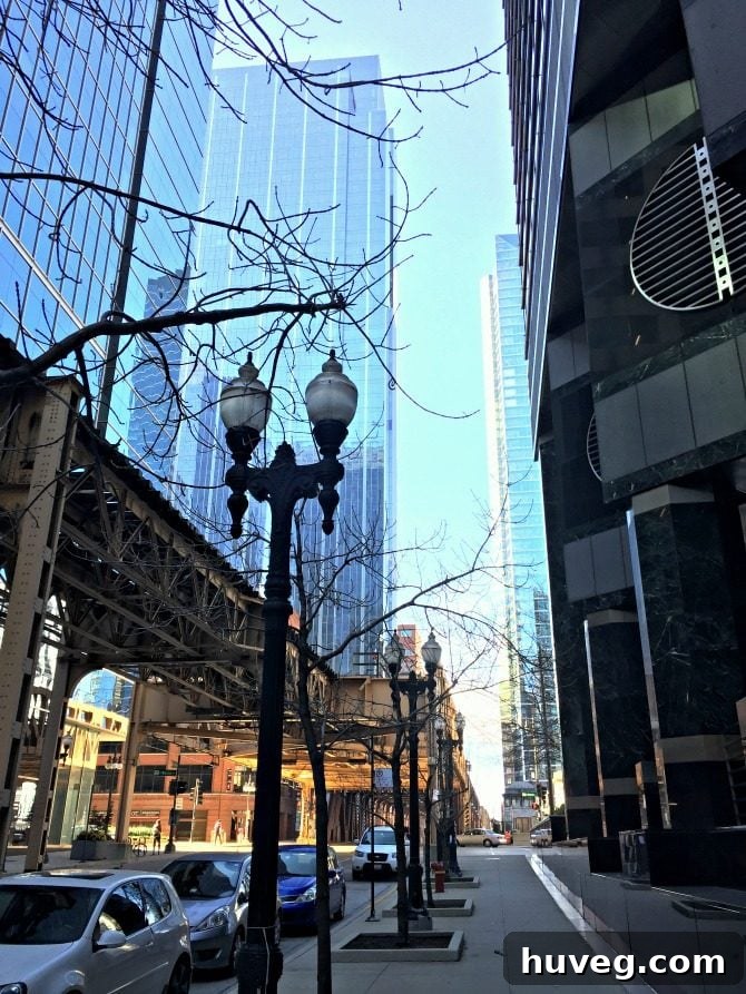 Historic L Train in downtown Chicago