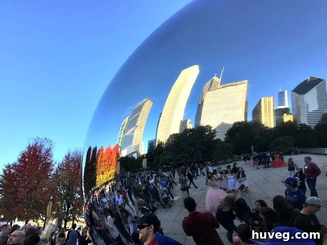 Reflective surface of The Bean in Chicago showing city and trees