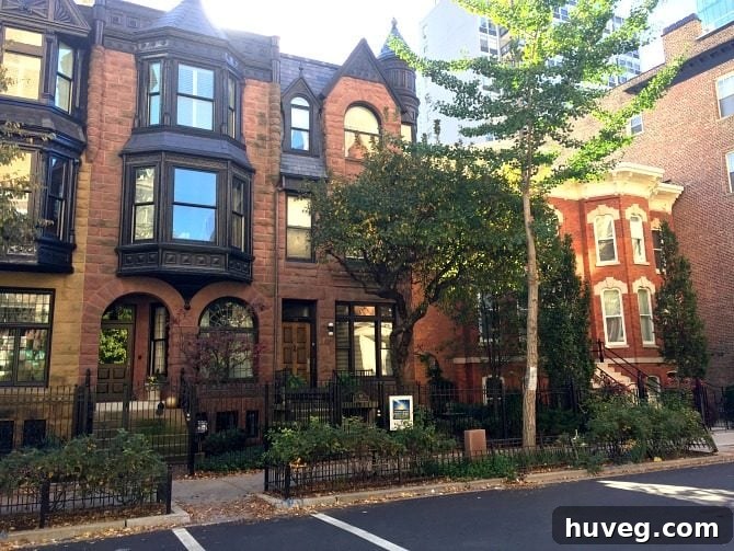 Picturesque Chicago neighborhood in autumn