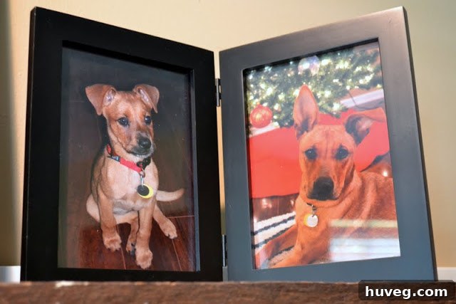 A sentimental picture frame displaying a side-by-side photo of a dog, Charlie