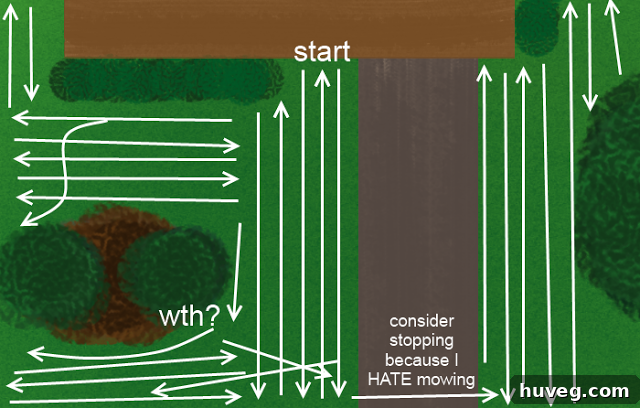A partially mowed front yard showing a zig-zag pattern, illustrating a strategic approach to tough lawn care