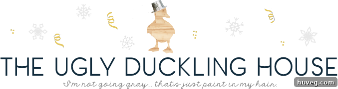 Ugly Duckling House New Year's blog logo with party hat