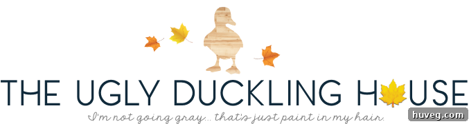 Ugly Duckling House November blog logo