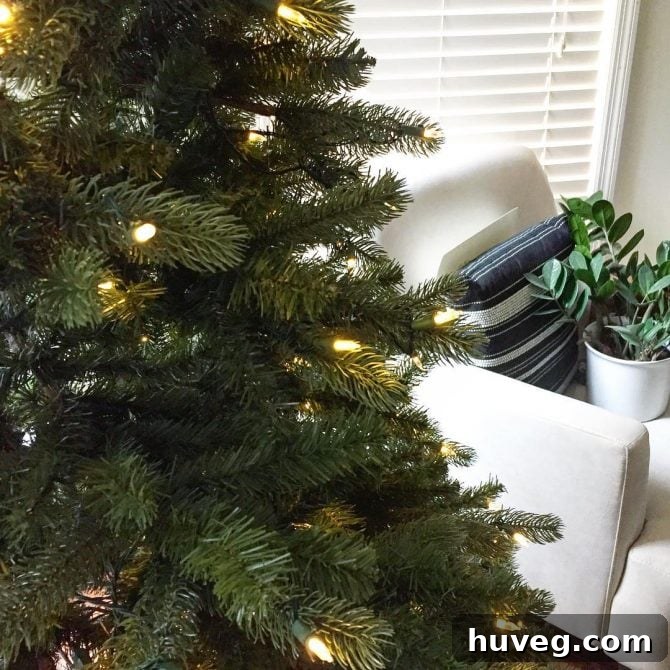 Christmas Tree in Daylight