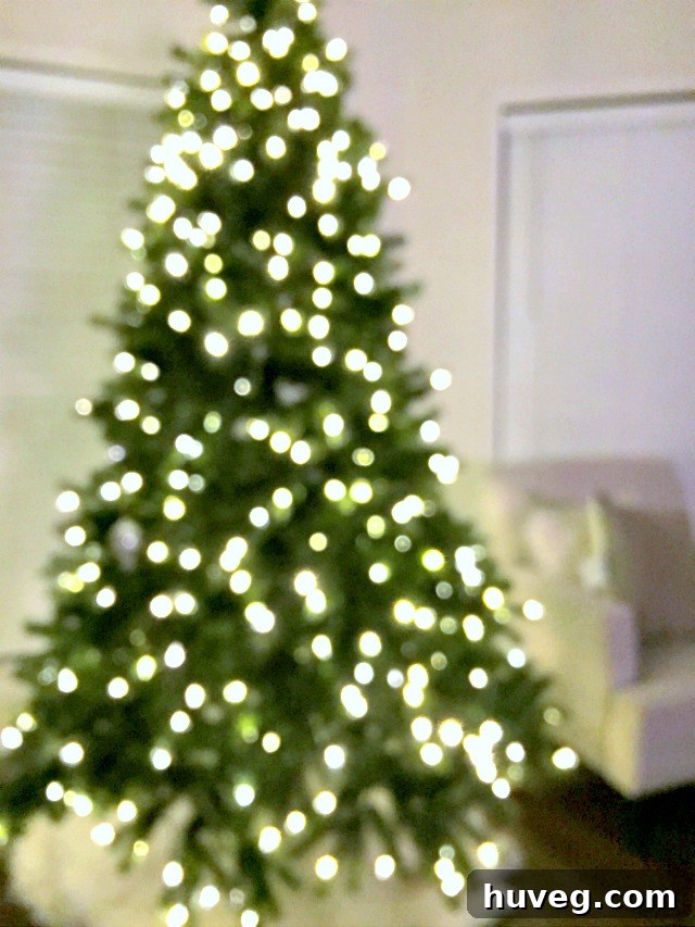 Gazing at the Undecorated Christmas Tree