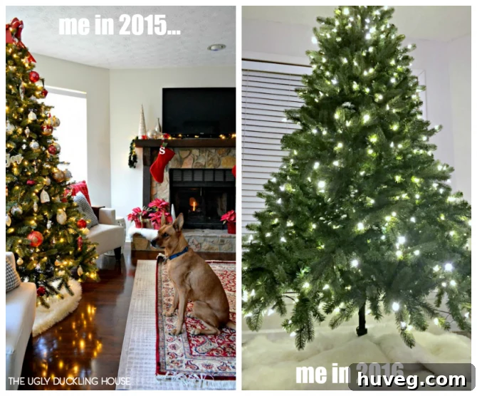 Comparison: Christmas Tree 2015 vs. Christmas Tree 2016