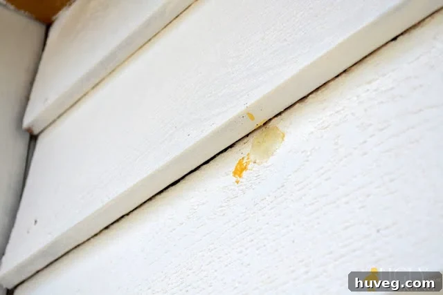Exterior hole on garage door successfully sealed and prepped for final touch-ups