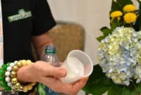Frogtape Revealed The Secret Behind Its Green Grip