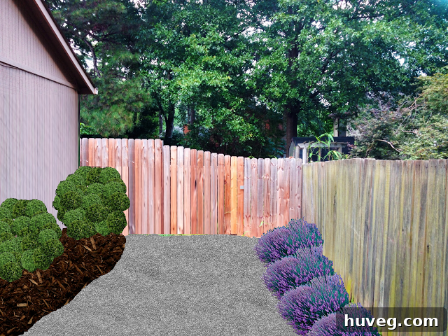 Design concept drawing for side yard landscaping transformation