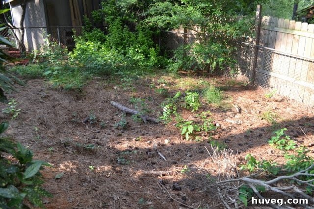 georgia sinkhole