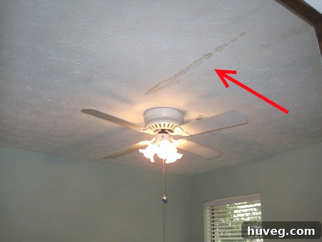Close-up of the large brown water stain on the ceiling of the study-o