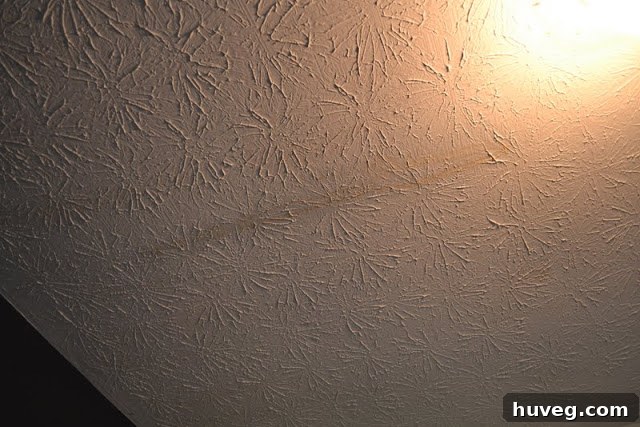 DIYer preparing to tackle the ceiling stain repair project