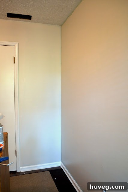 Close-up of freshly painted office wall, highlighting texture and color