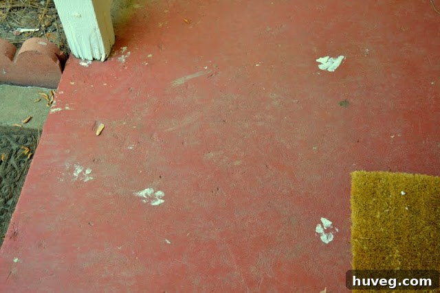 Detailed view of puppy paw prints on the front stoop alongside patched areas
