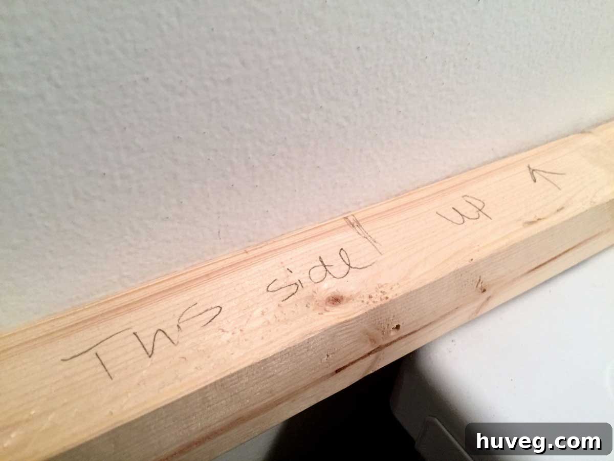 adding-wall-supports-carefully-marked