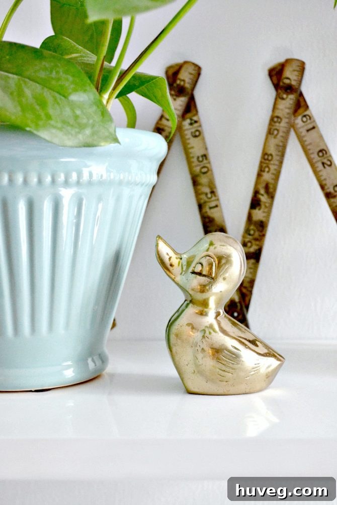Brass duck paperweights add vintage charm to office bookshelves, enhancing personalized decor.