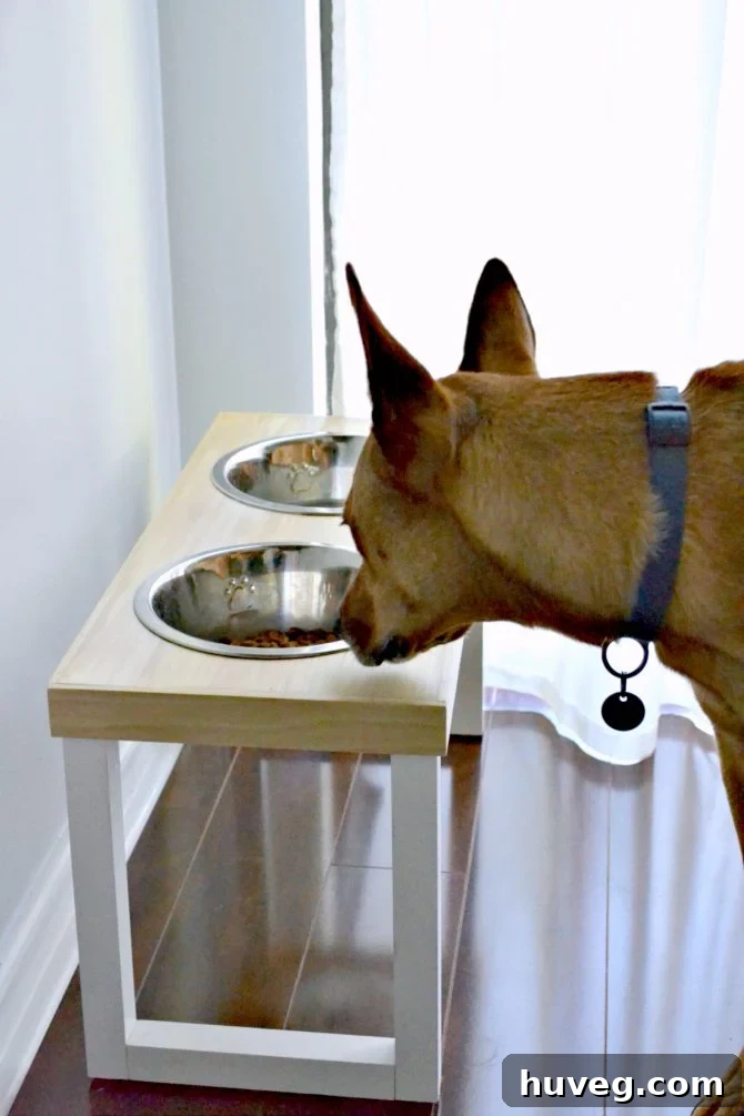 Custom DIY no-slip dog feeder designed for Charlie, minimizing pet mess and enhancing kitchen tidiness.