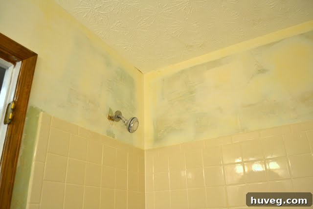 img 1147 1