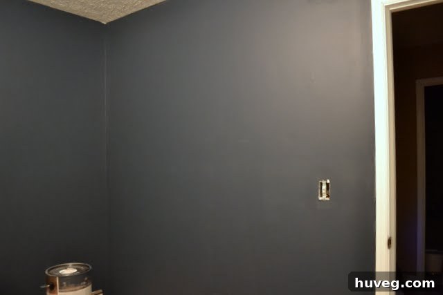 Newly painted navy blue walls showcasing dramatic flair