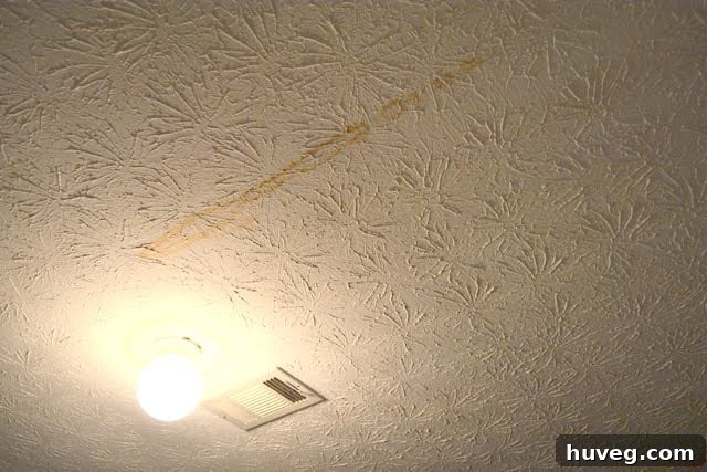 Ceiling stain from a frozen and thawed air conditioner unit