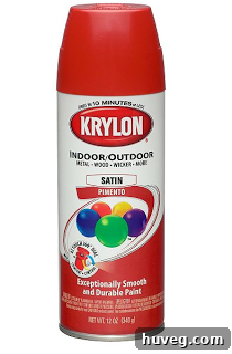 Krylon spray paint in Pimento color