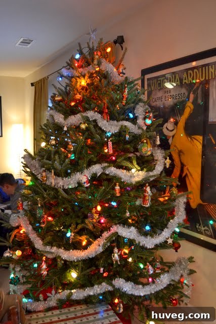 A beautifully decorated, large real Christmas tree named Norman, centerpiece of the living room.