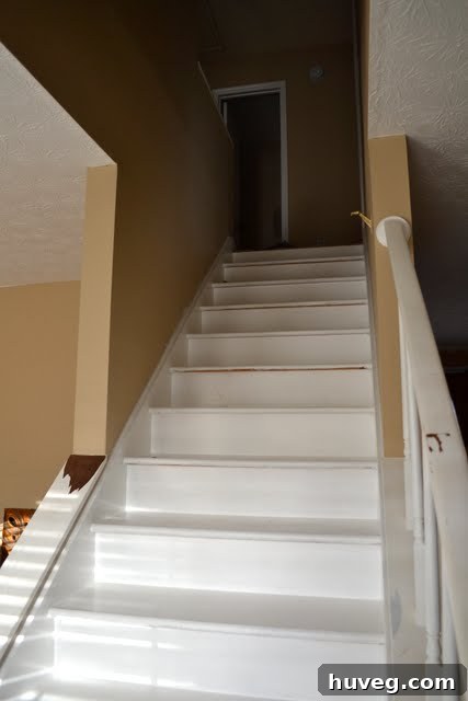 img 1244 1