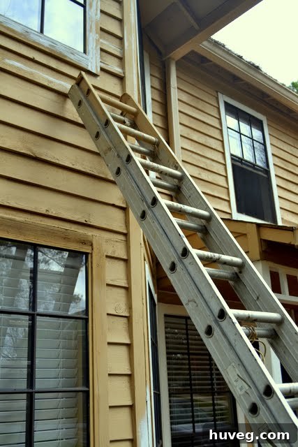Another image of a traditional, awkward ladder against a house