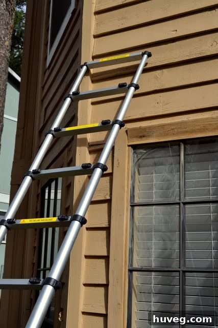 Extend-A-Step ladder leaning against the house with a person on it