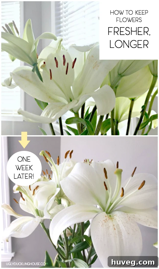 how to keep cut flowers fresher longer