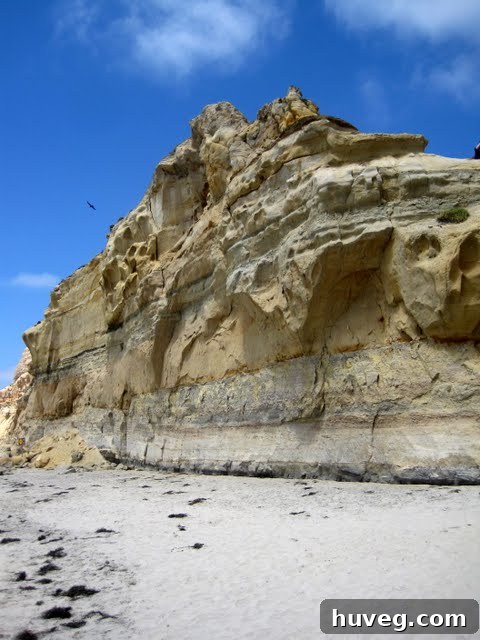 Close-up shot of crystal-clear ocean waves gently reaching the sandy beach at La Jolla, California
