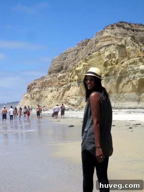 Panoramic view of the stunning La Jolla coastline with its characteristic cliffs and the vast Pacific Ocean