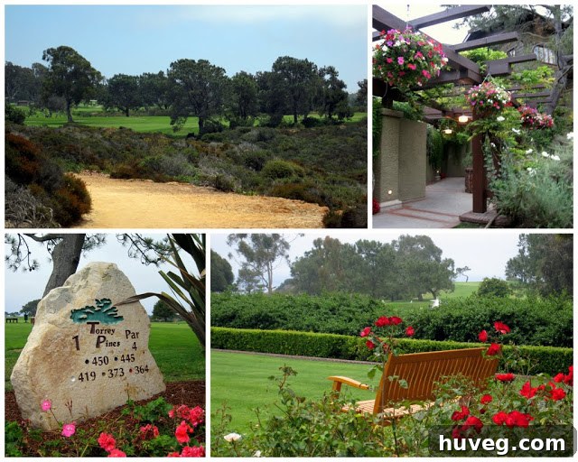 A beautifully decorated outdoor patio dining area with comfortable seating at The Lodge at Torrey Pines