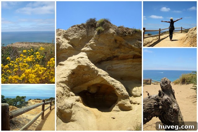 Bright sunny day illuminating the stunning coastal cliffs and scenic hiking paths of Torrey Pines Natural Reserve